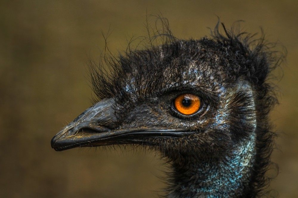 Photograph by Aniket Gurav