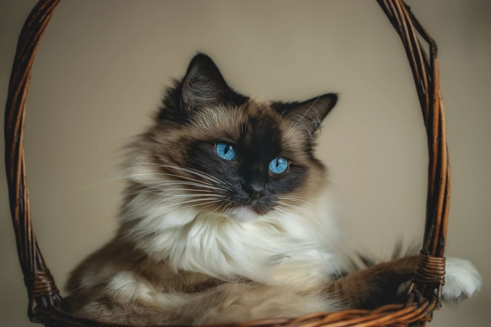 Фотография автора Natalja Bindere