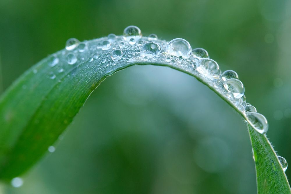 Фотография автора vladimir algazin