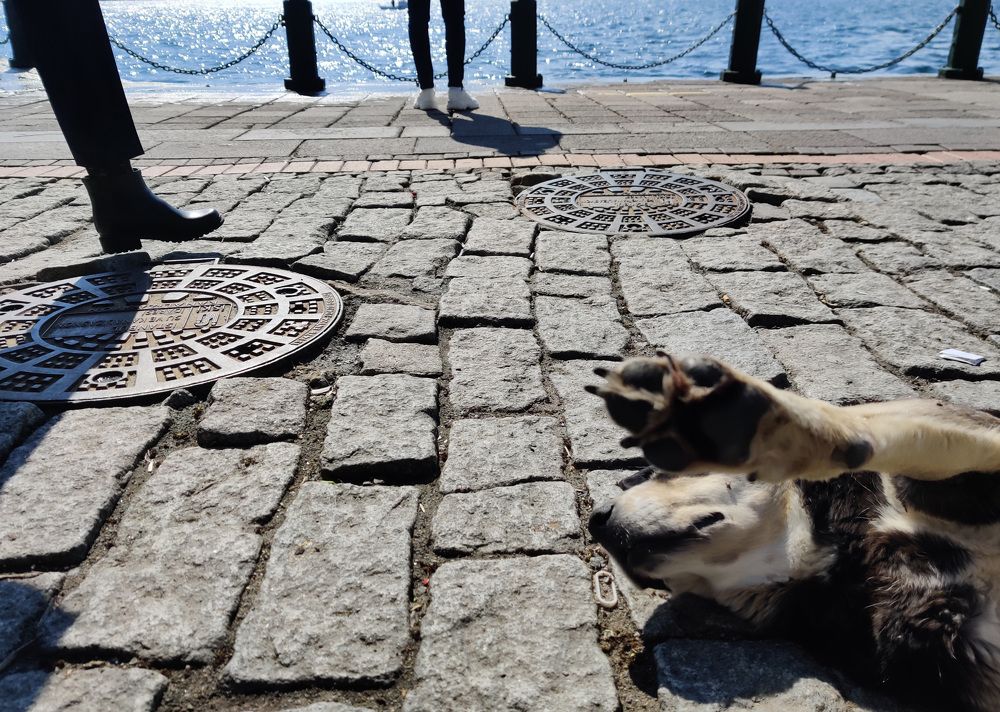 Photograph by Игорь Баль