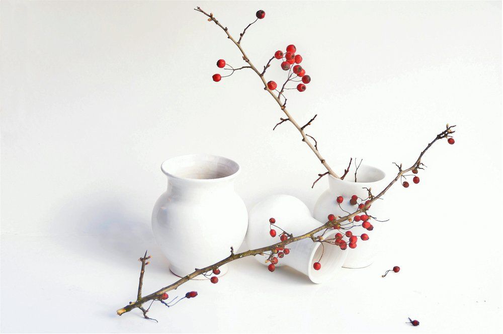 Photograph by Gizela Halászová