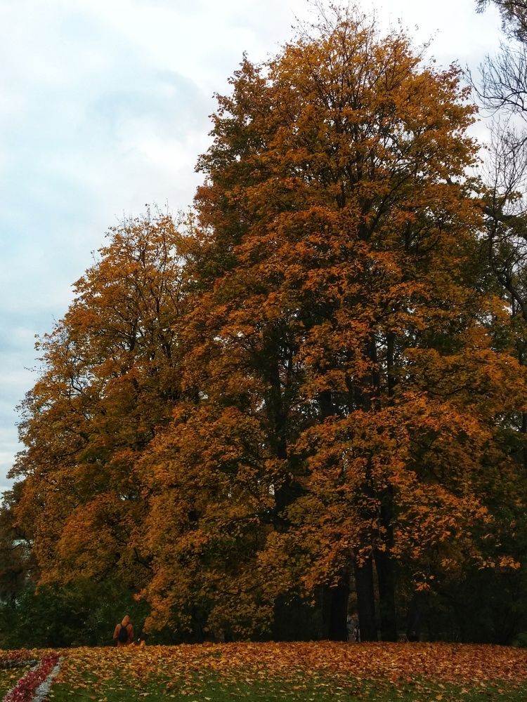 Photograph by Елена Амосова