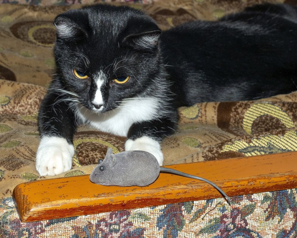 Photograph by Юрий Тимофеев