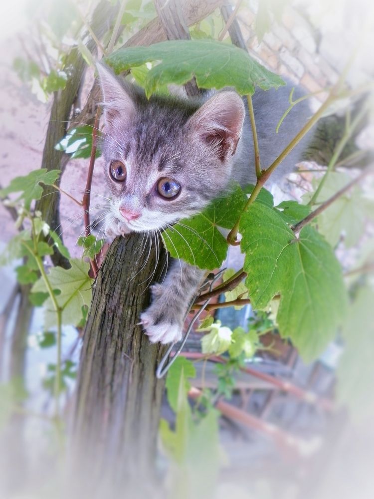 На мир с открытыми глазами