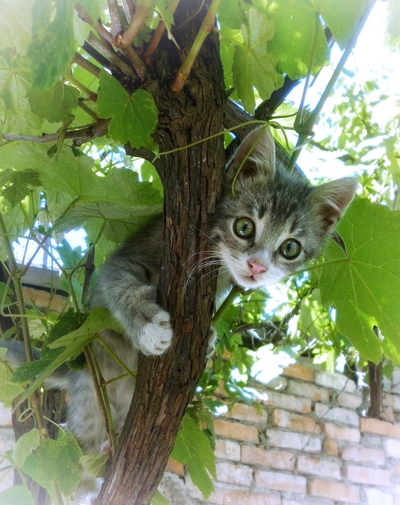 "Хочу всё знать!"