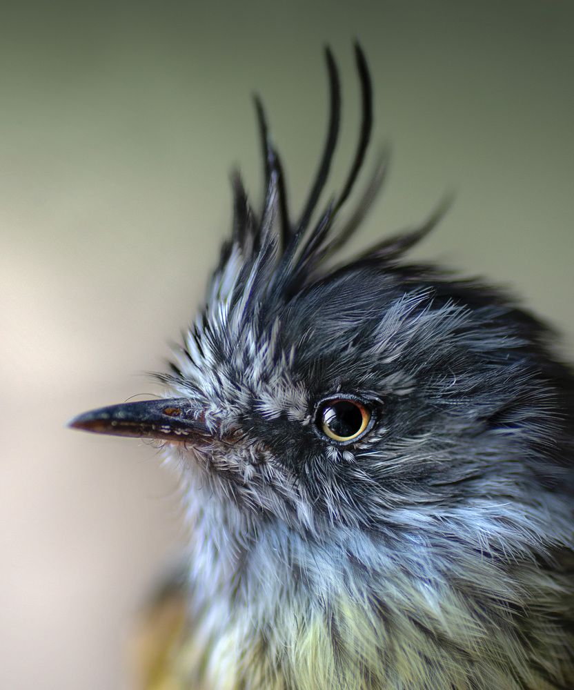 Photograph by Eduardo Modolo