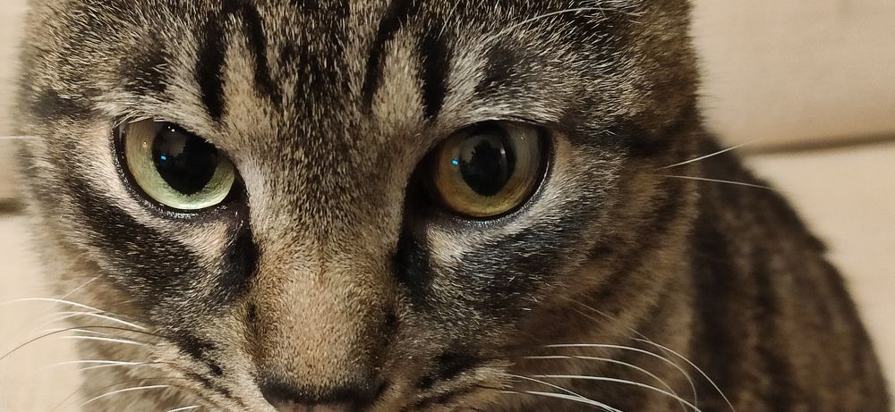 Photograph by Галина