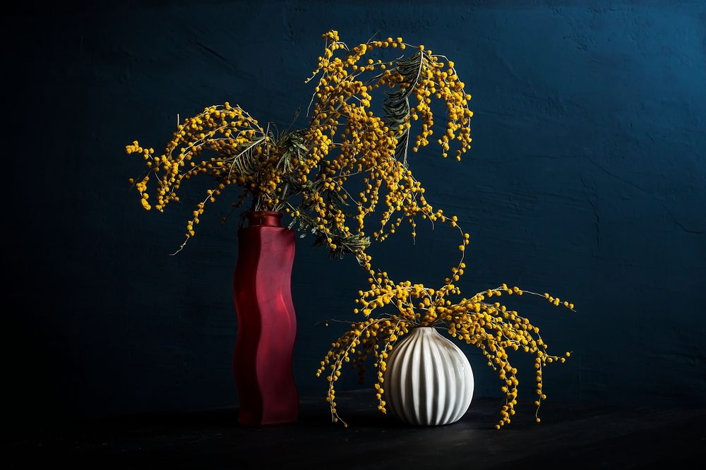 Photograph by Дмитрий Сундеев