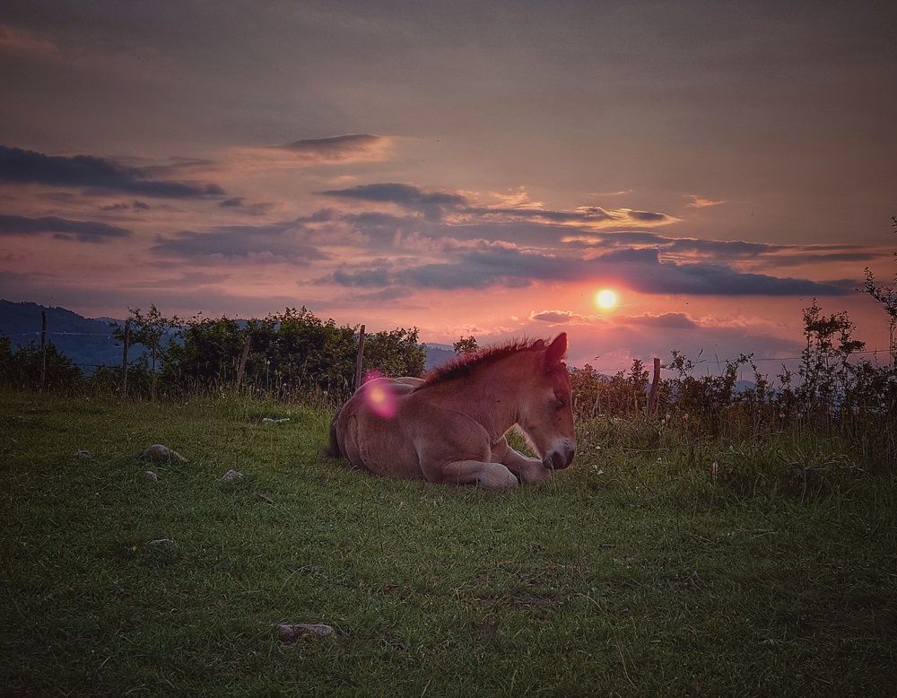 Photograph by Edin Masovic