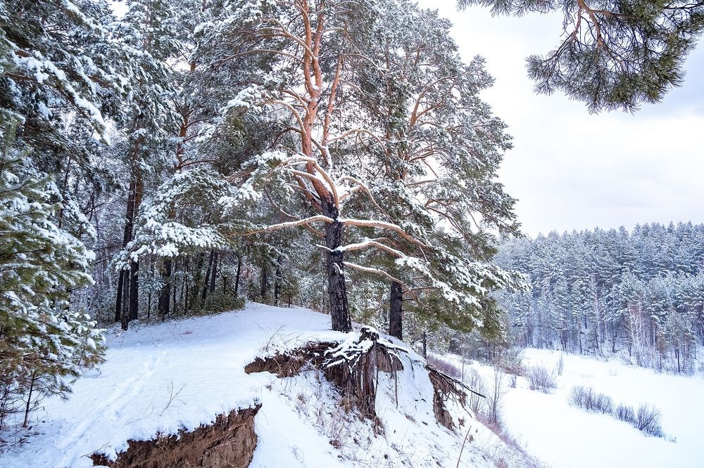 Photograph by Алексей Семенихин