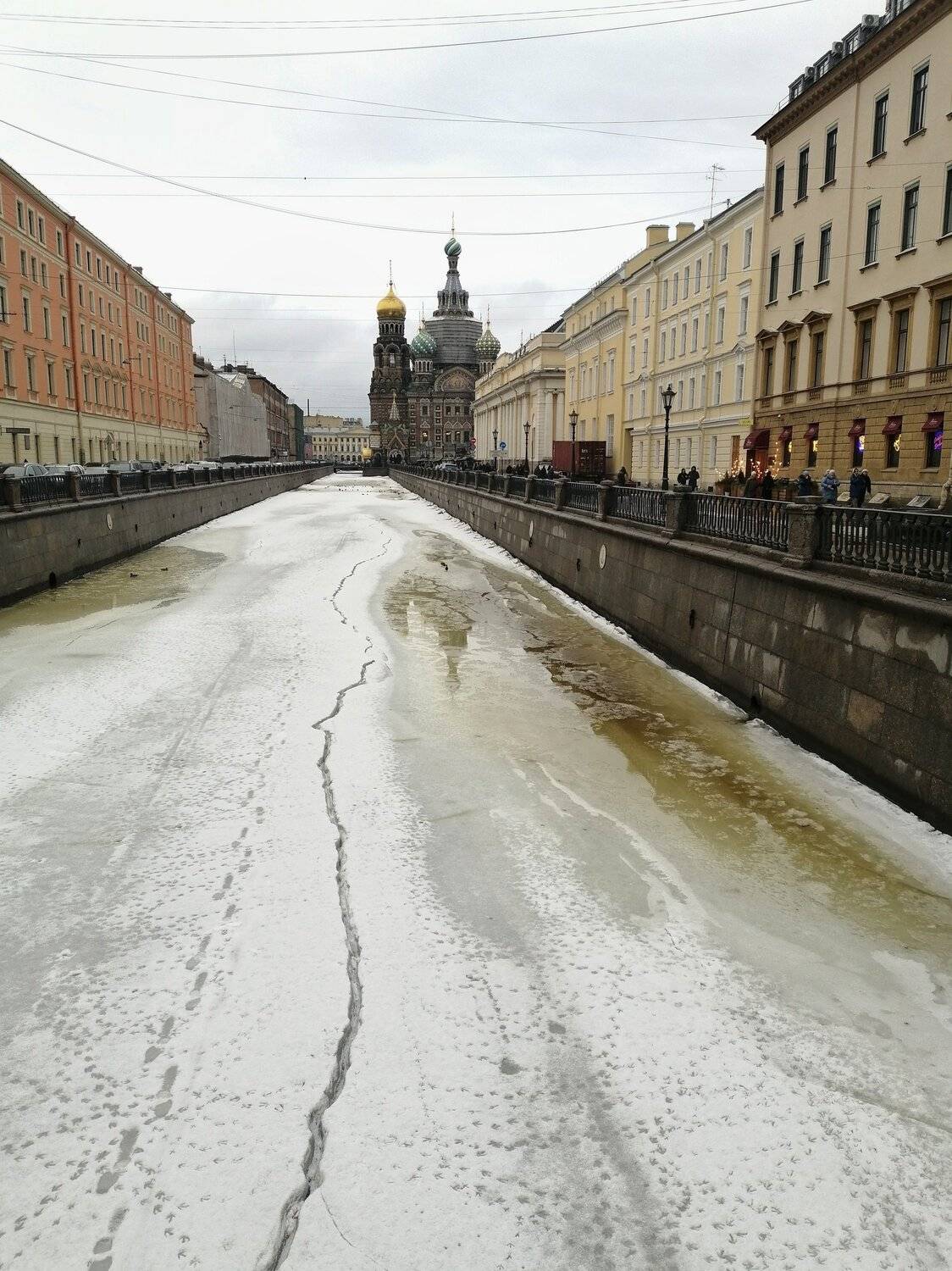 Photo #5992291