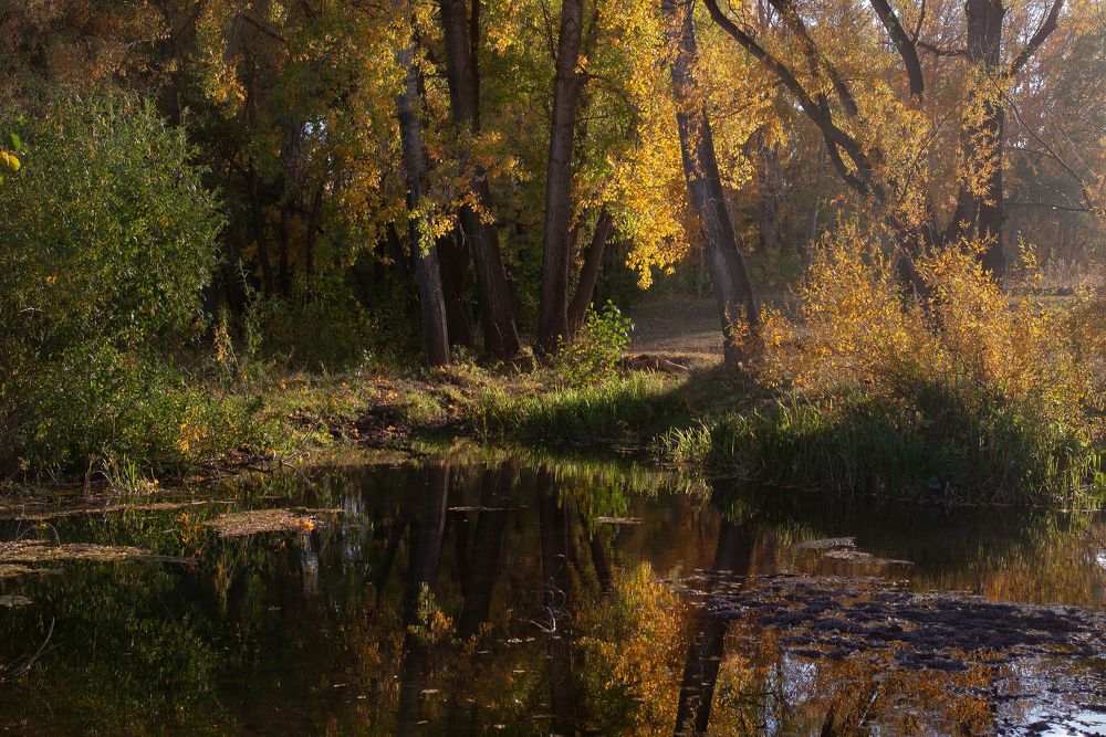 Photograph by Олег Машковский