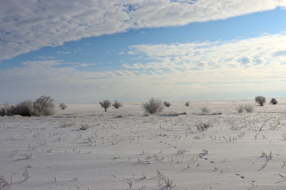 Photograph by Татьяна Котельникова