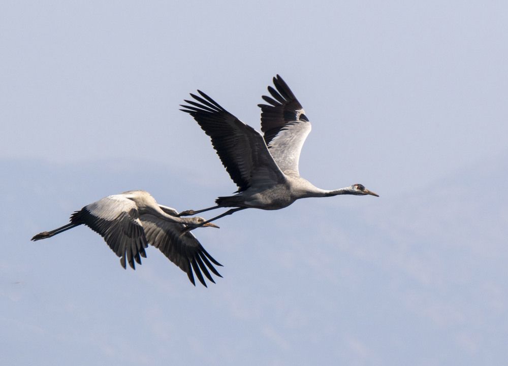 Photograph by Валентина Лопаткина