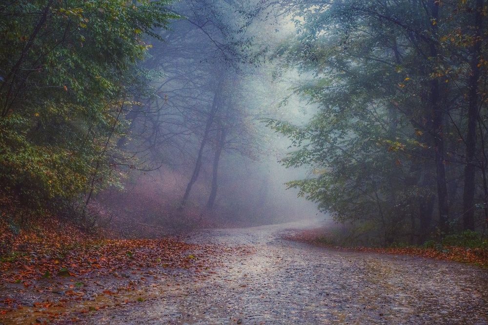 Photograph by Vahid Yavari