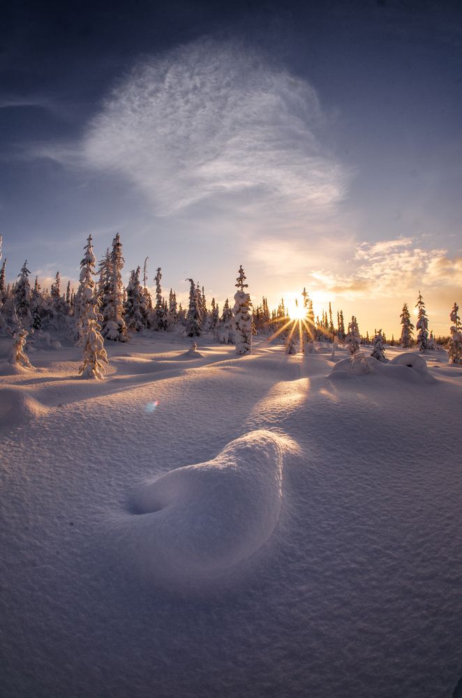 Февральский полдень