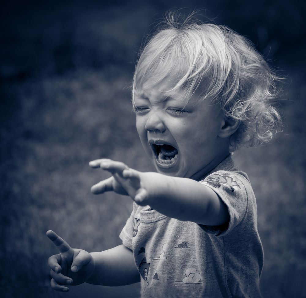 Фотография автора Javier Galli