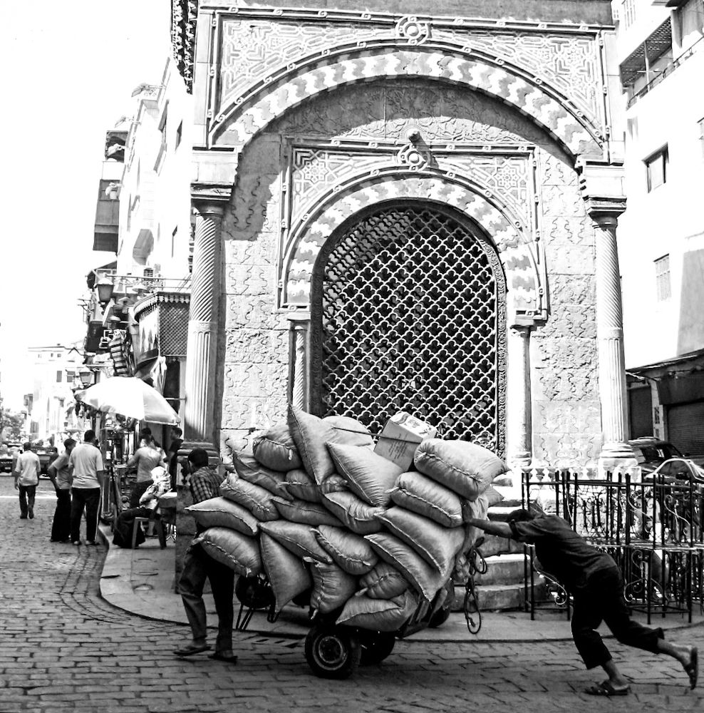 Photograph by Mohamed Haggag