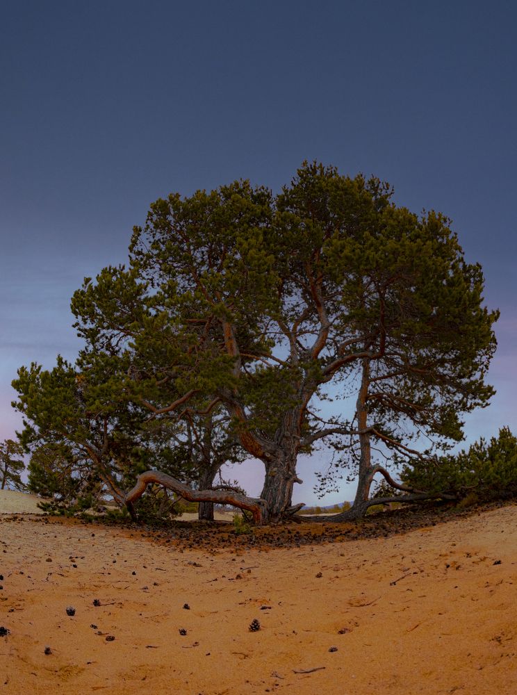 Photograph by Пётр Леонов