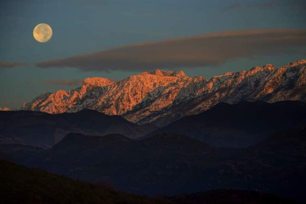 Фотография автора Jadranka Mamić
