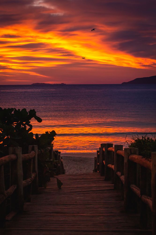 Photograph by Leo Flores