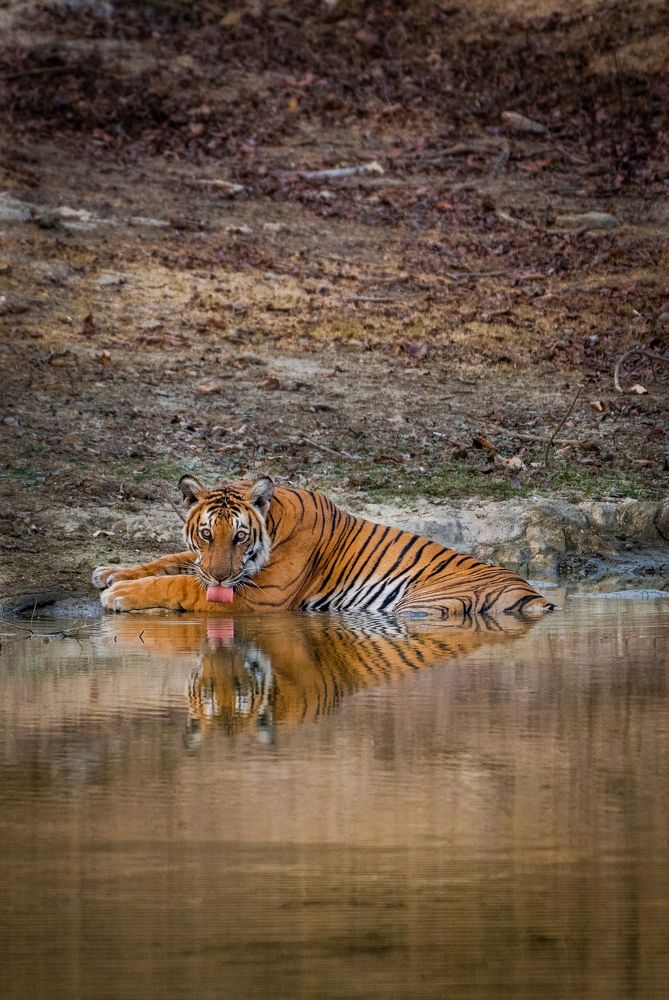 Photograph by Jayanth G