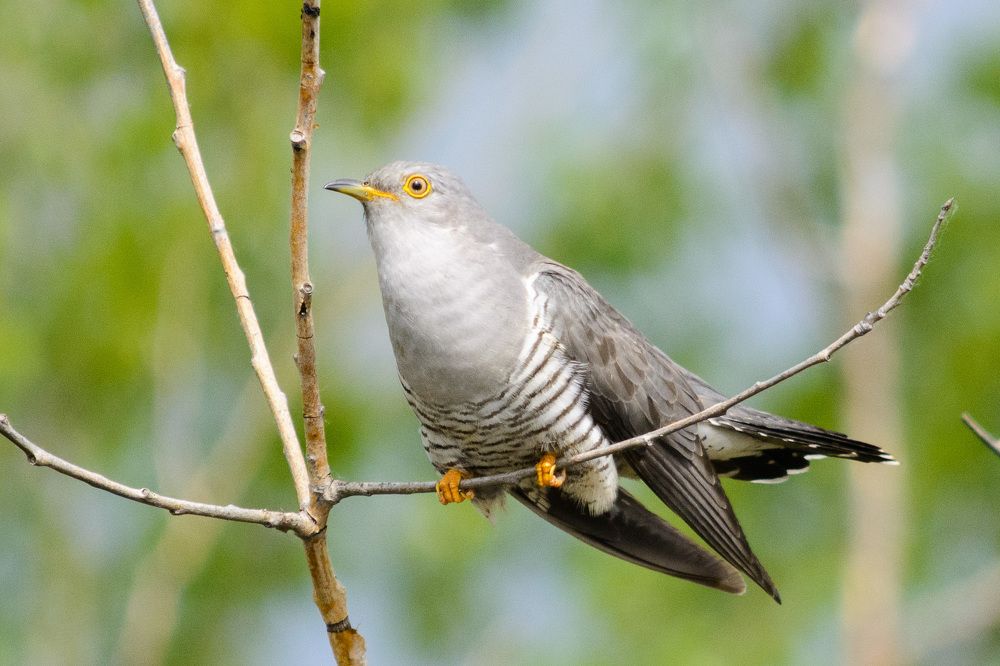 Photograph by Анастасия Попельская