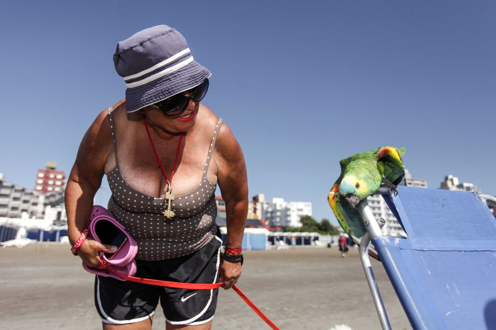 Photograph by carol smiljan