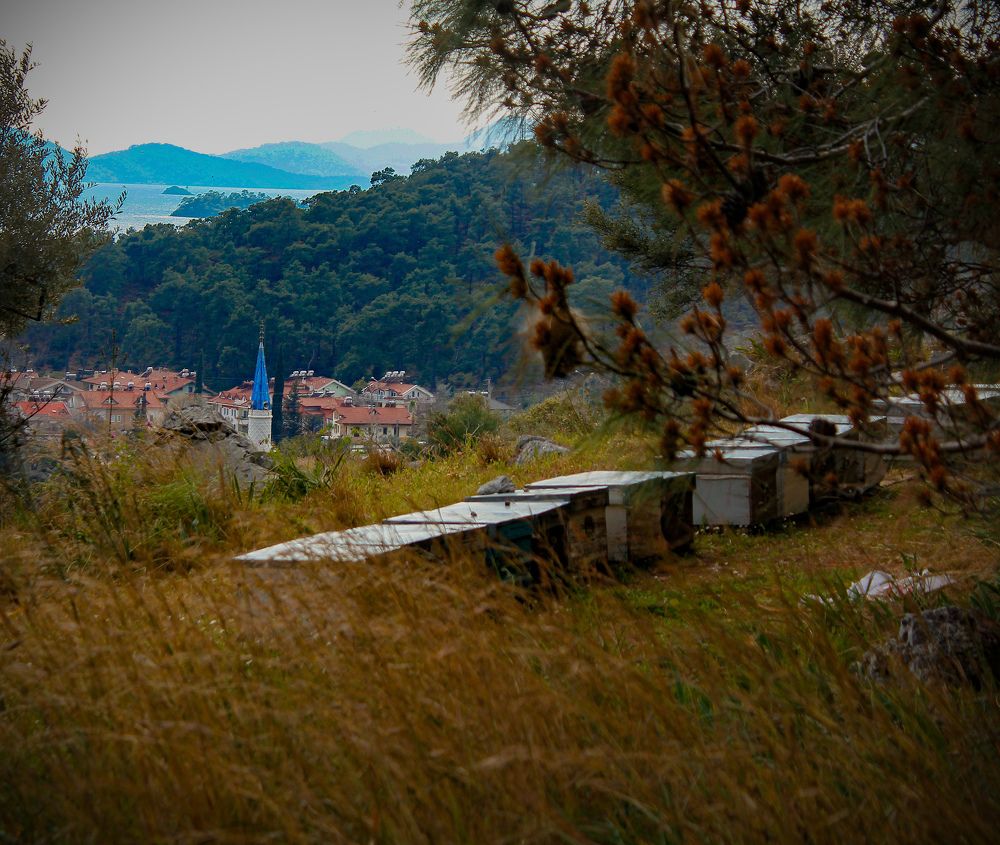 Photograph by Аня Онер