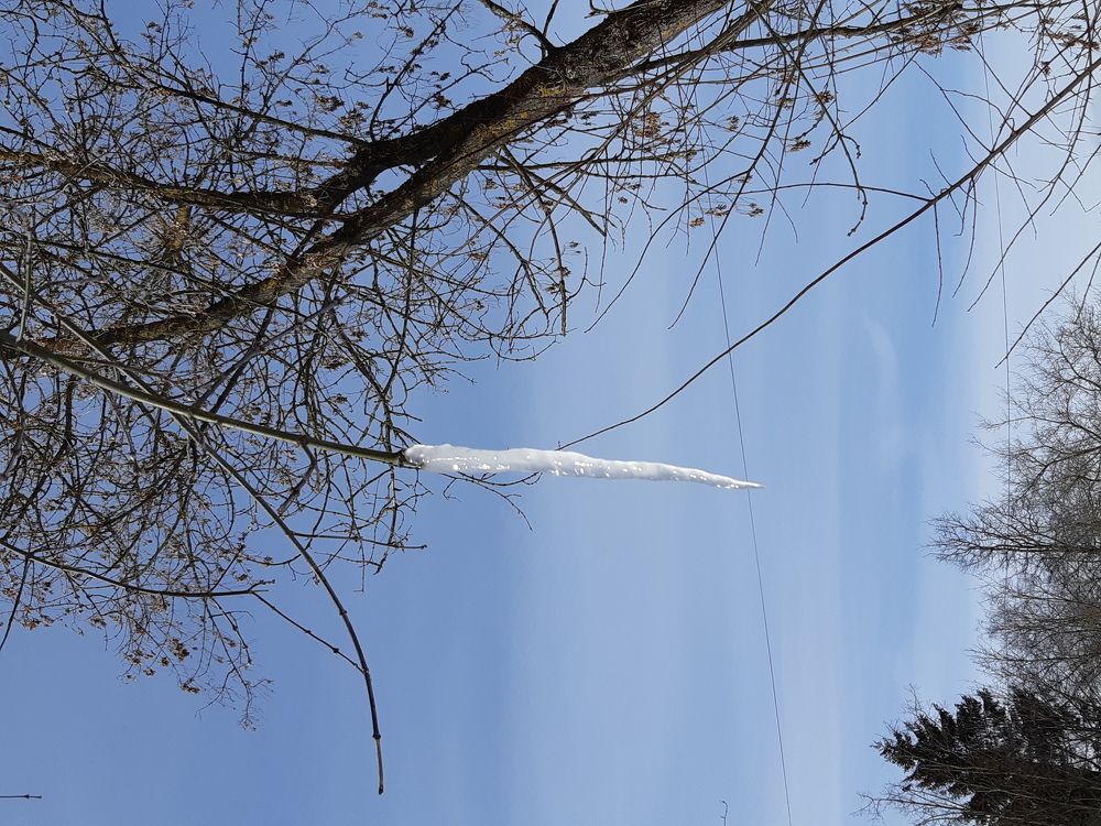 Последняя сосулька