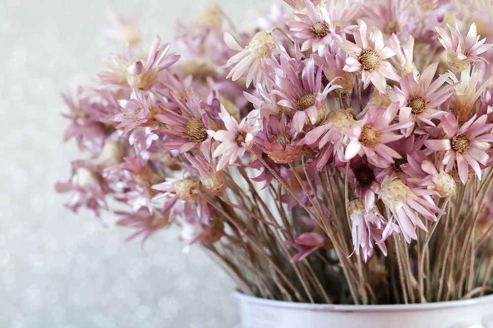 Photograph by Ирина Кротова