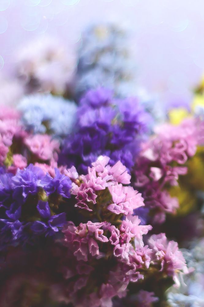 Photograph by Ирина Кротова