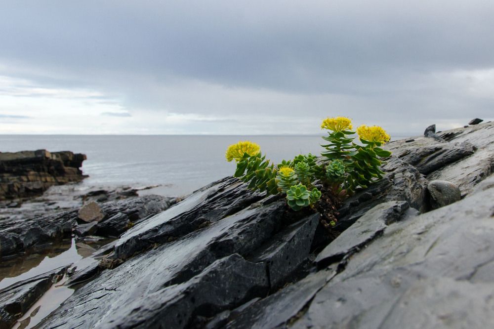 Photograph by Анжелика Хрусталева