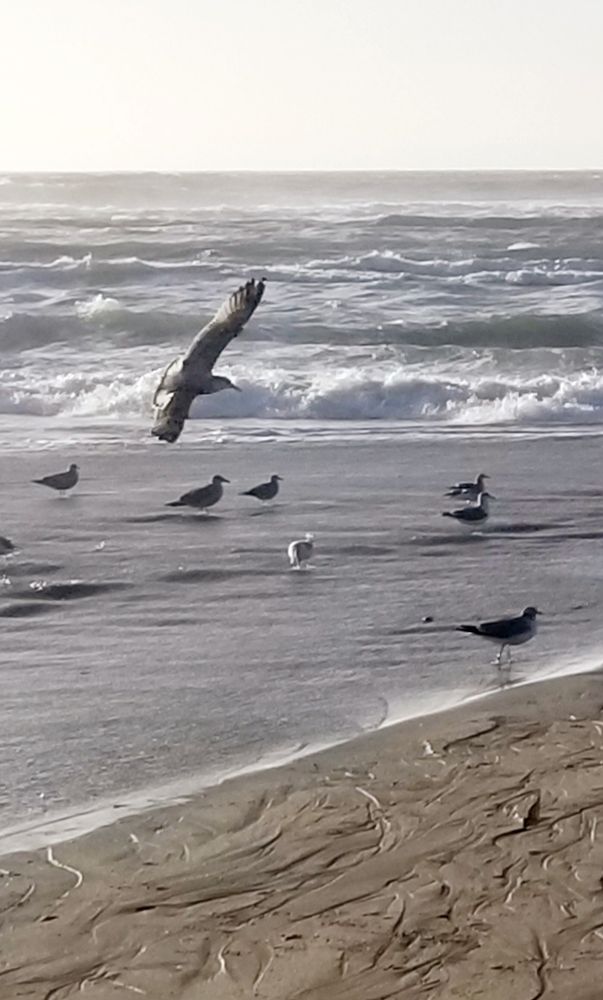 Photograph by Michelle Vaughn