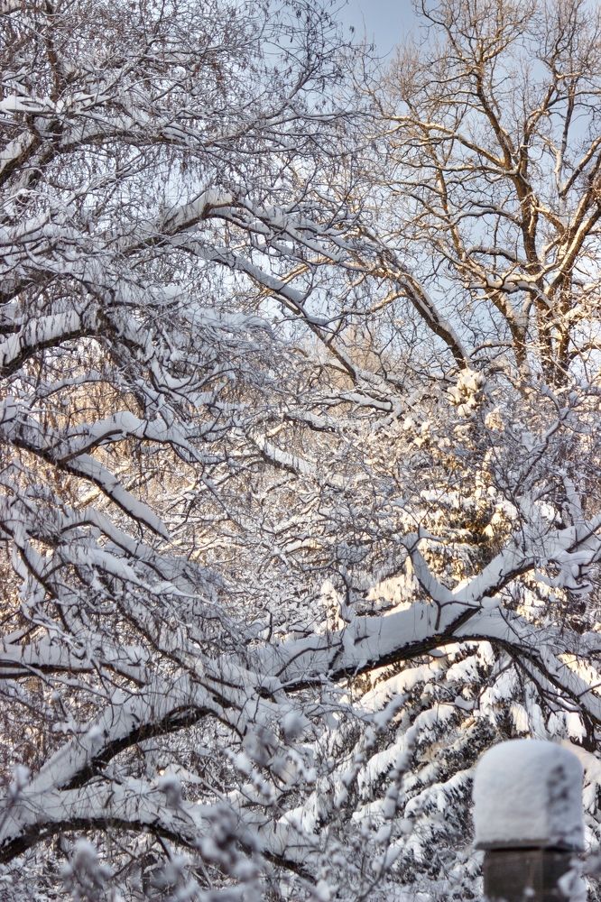 Photograph by Юлия Тигра