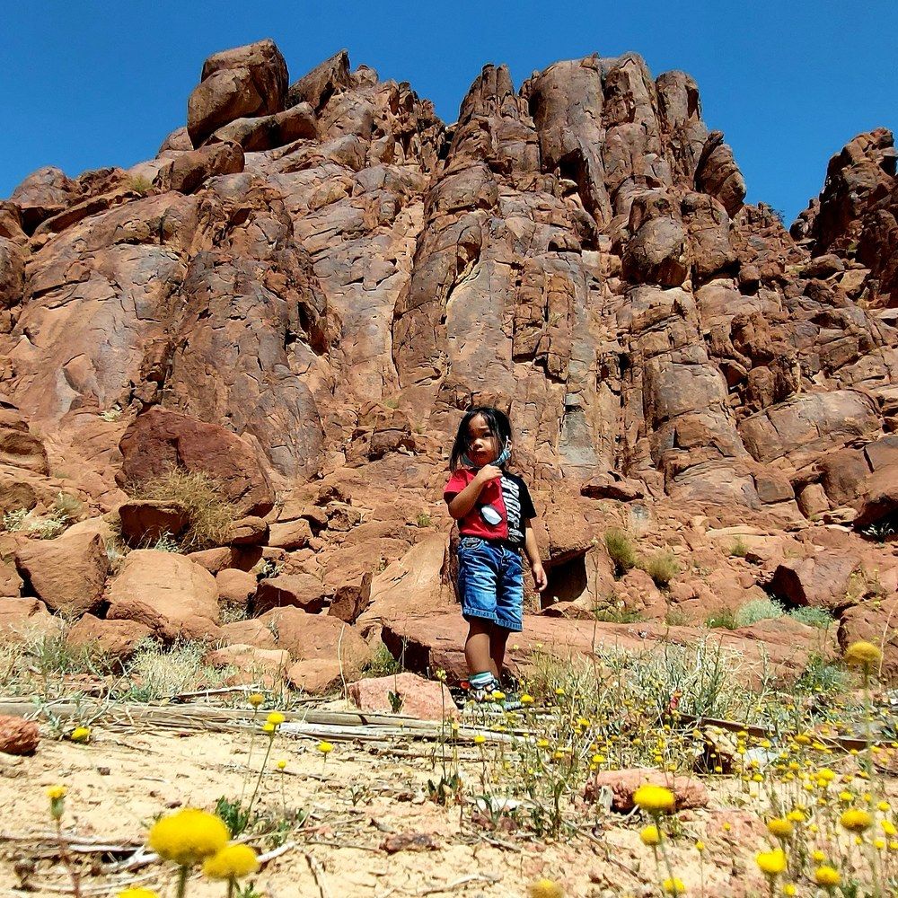 Pandemic Year at the Rocky Mountain