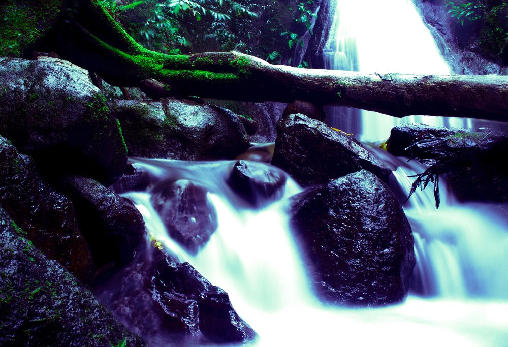 Photograph by Jeff Bugaling