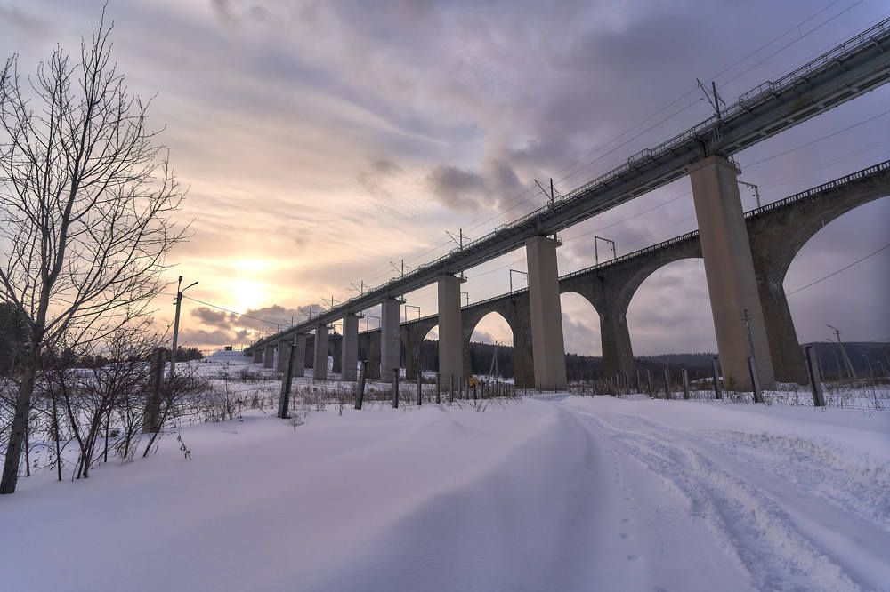 Photograph by Елена Мормоль