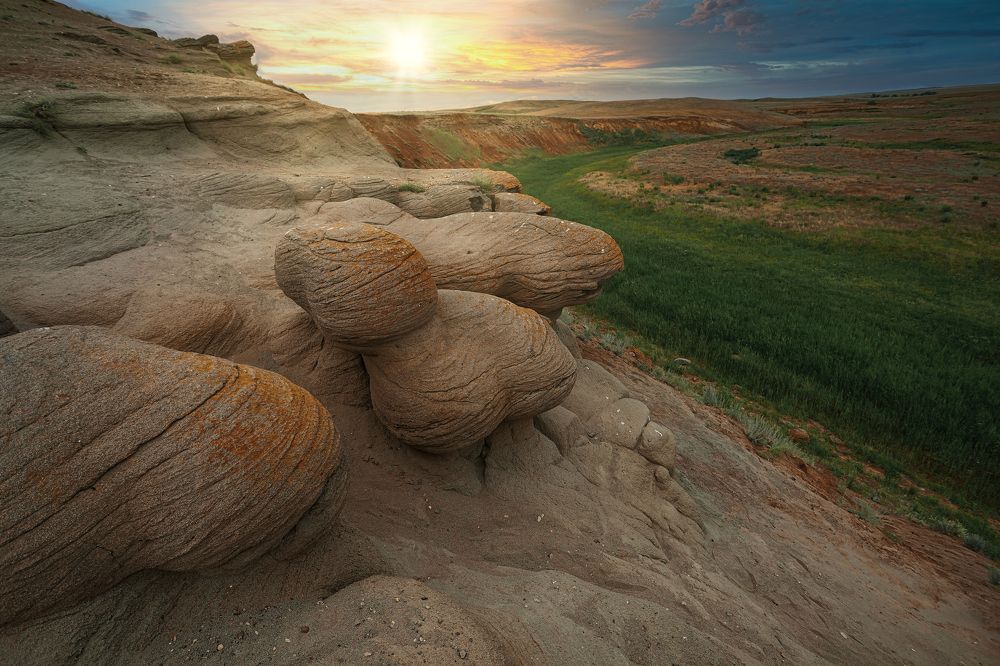 Photograph by Алексей Курочкин