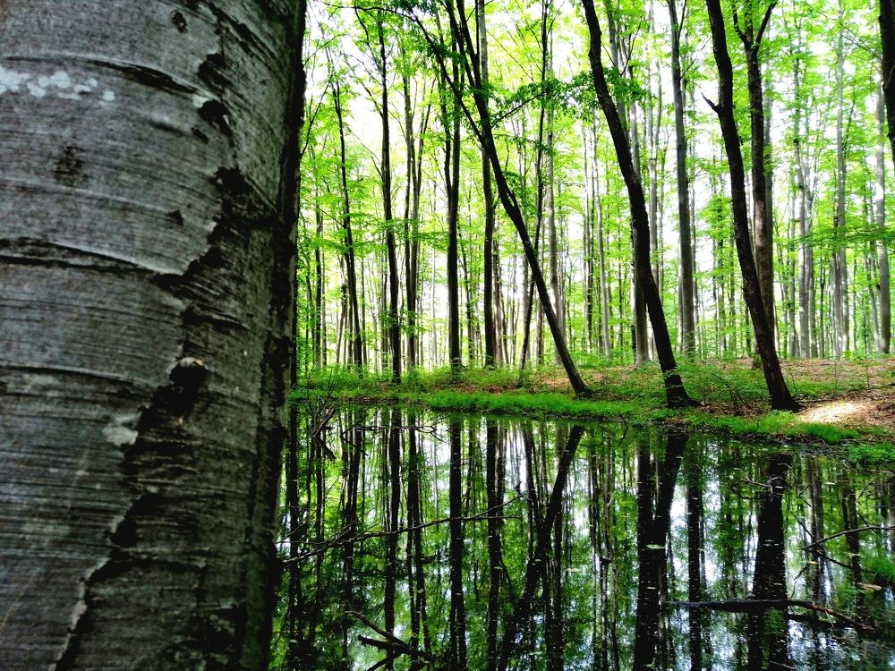 Photograph by Ana Creanga