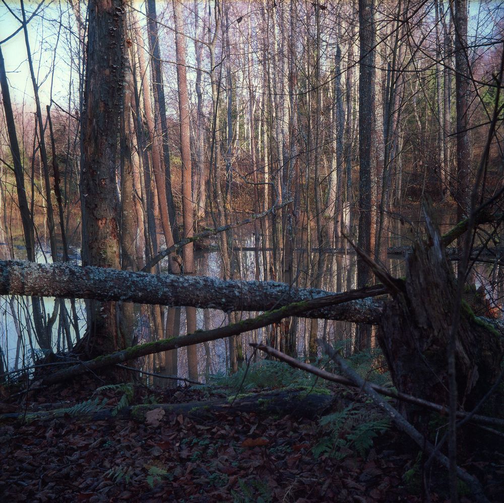 Фотография автора Кирилл Сизов