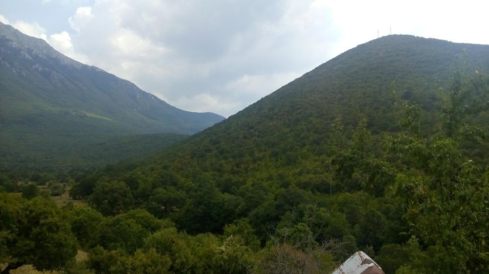 Photograph by Bojan Nikolovski