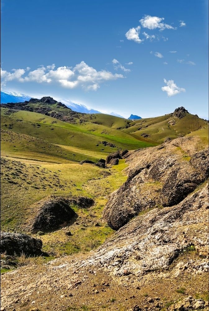 Photograph by Reza Aziz