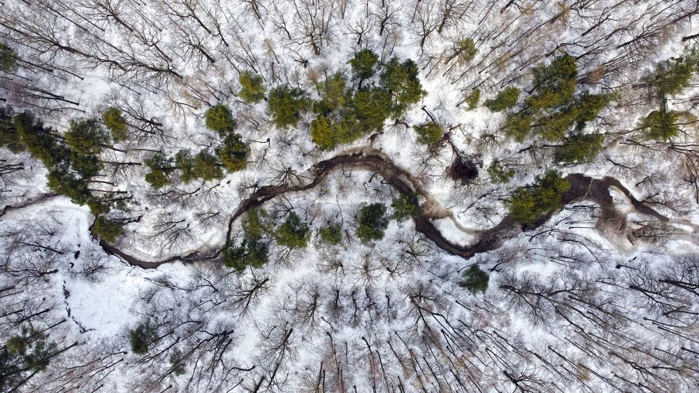 Фотография автора Коротков Алексей
