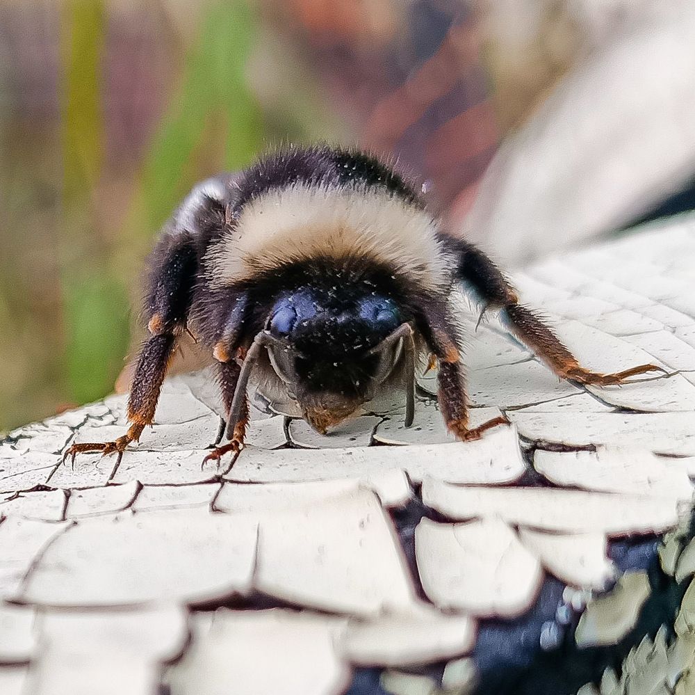 Я проснулся!