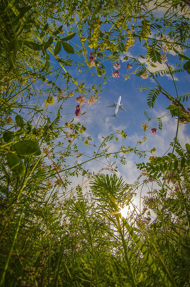 Photograph by Paul Adrian Chis