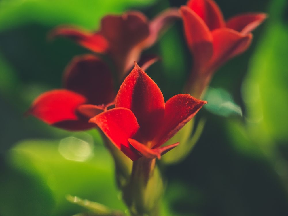 Photograph by Владимир Поздняков