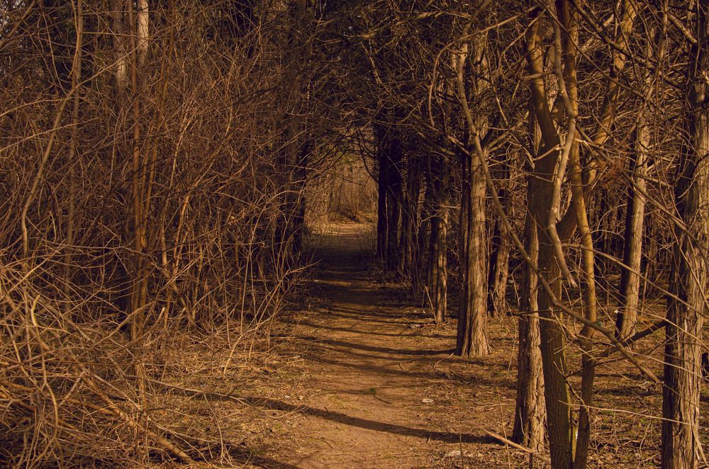 Фотография автора Ирина Якущенко