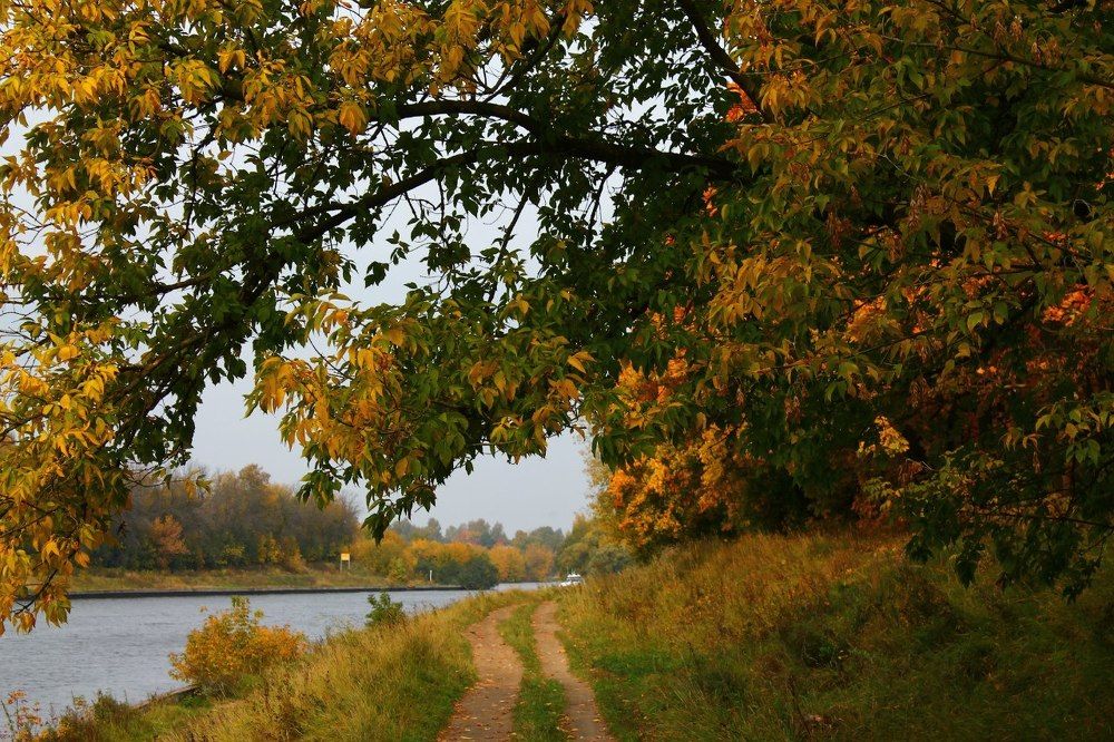 Photograph by Мария Сазонова