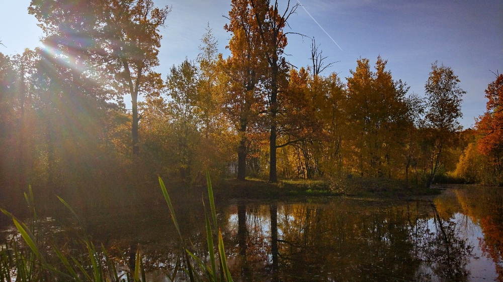 Photograph by Мария Сазонова